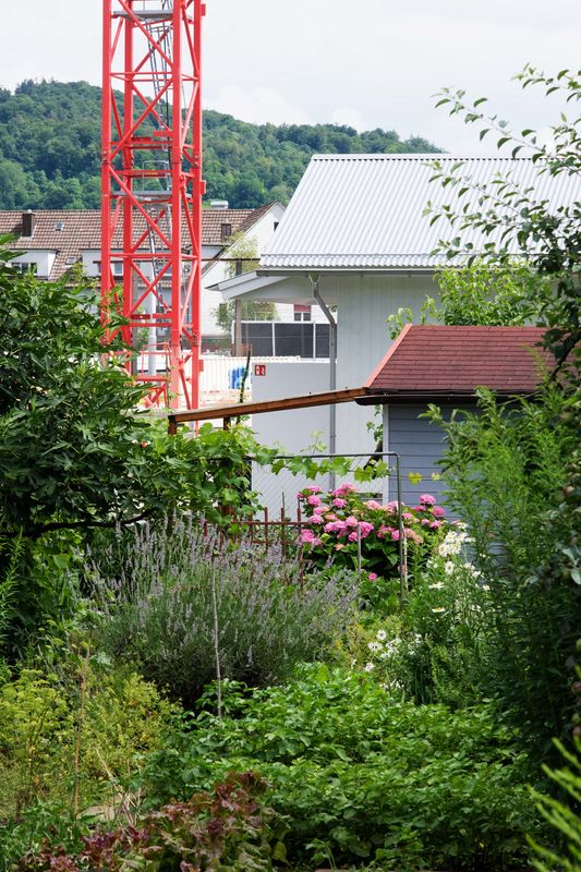 Areal Guggach – Das neue Vereinslokal ist der Treffpunkt für leidenschaftliche Gärtner:innen der Familien- und Gemeinschaftsgartenanlage.  – Max Creasy